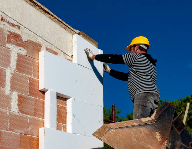 Best Insulation Maintenance and Repair in Holland, MI
