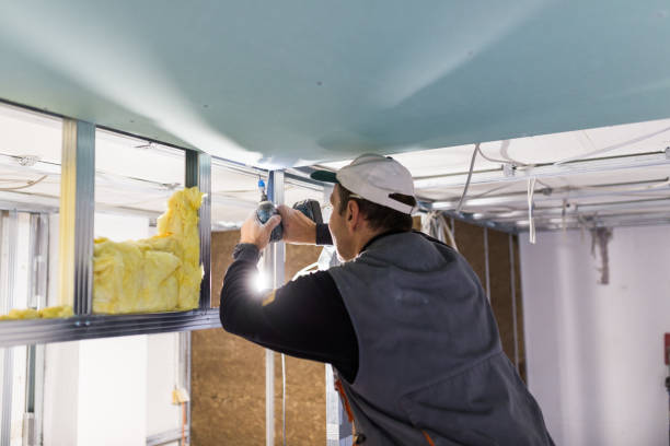 Best DIY Insulation Kits and Guidance in Holland, MI