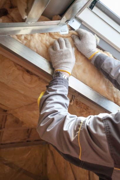 Best Blown-in Insulation in Holland, MI