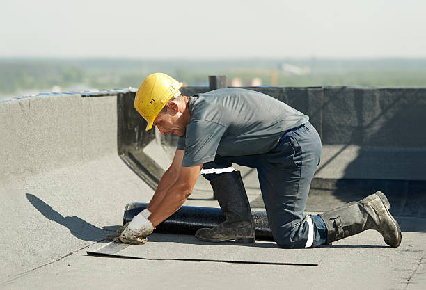 Best Energy Efficiency Insulation in Holland, MI
