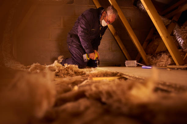Best Eco-Friendly Insulation in Holland, MI